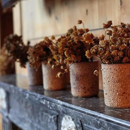 Le Nid Saint-brice - Escapade Au Coeur De Apartment