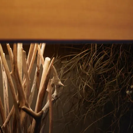 Le Nid Saint-brice - Escapade Au Coeur De Apartment