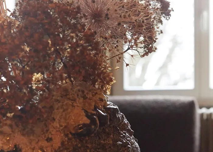 Le Nid Saint-brice - Escapade Au Coeur De Apartment *